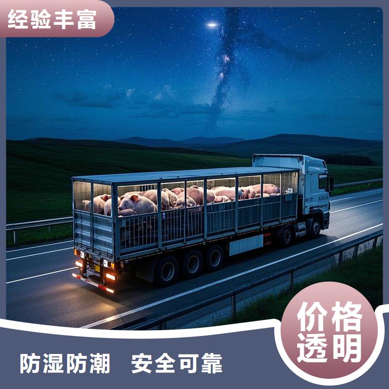 河源到荷塘物流专线货运公司