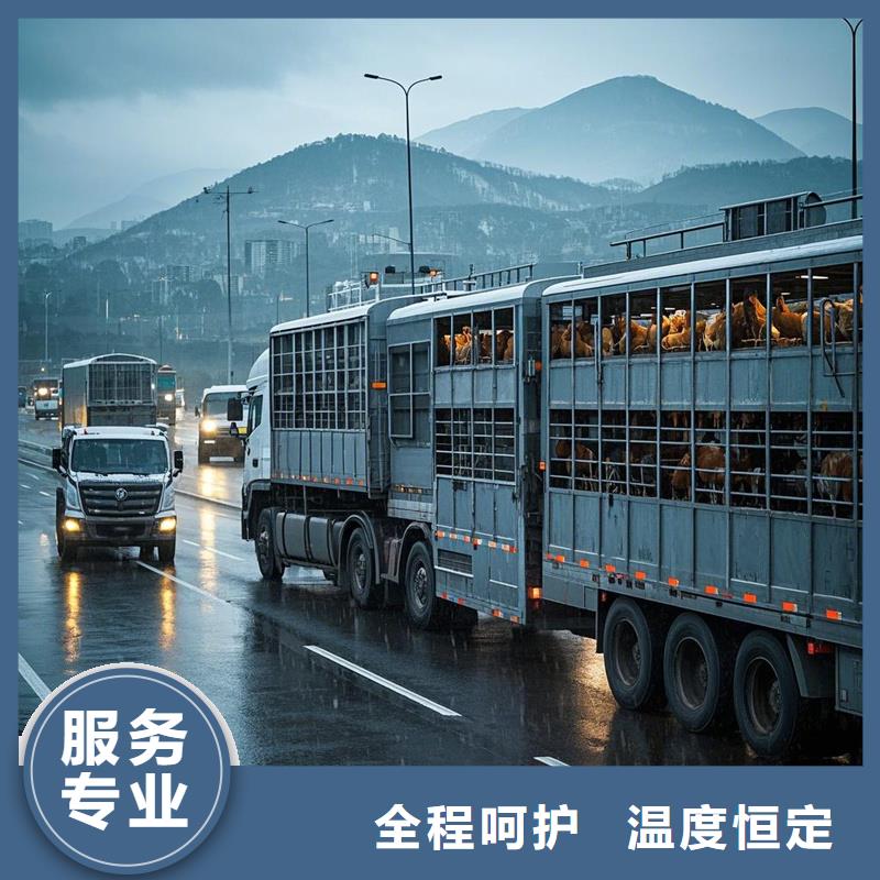 濮阳到荣成物流专线货运公司