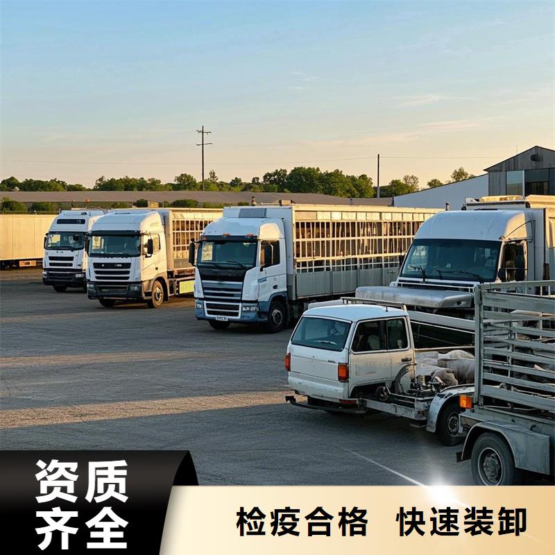 滁州到玉山物流专线货运公司