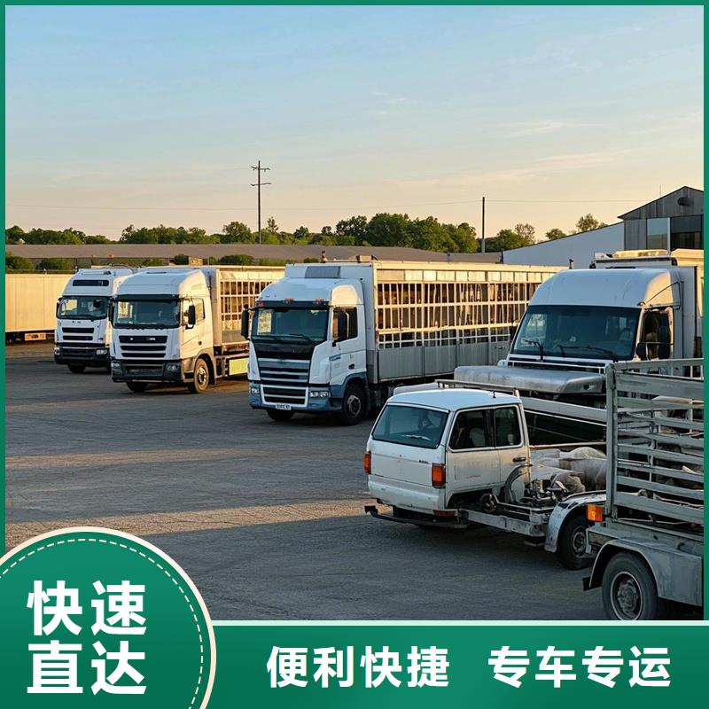 濮阳到平湖物流专线货运公司