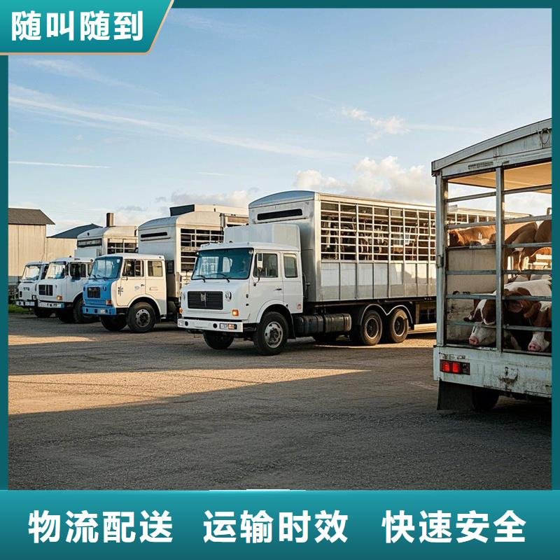 涟水到新河物流专线货运公司