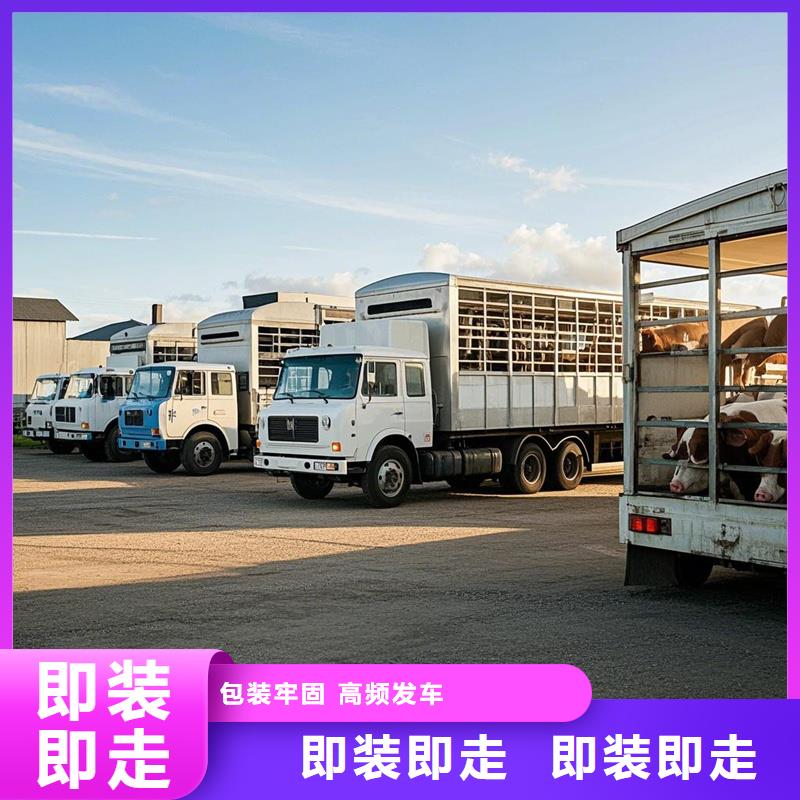 柳州到乐昌物流专线货运公司