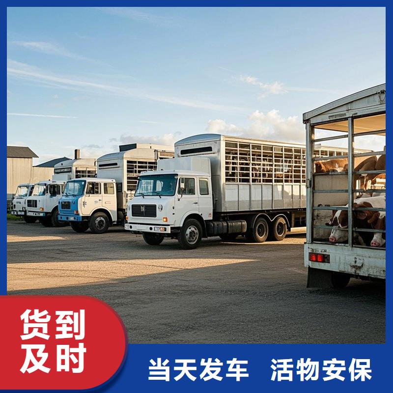 日照到西固物流专线货运公司