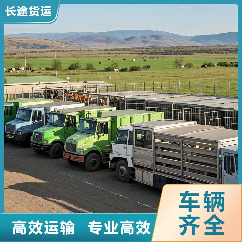 揭阳到德州物流专线货运公司