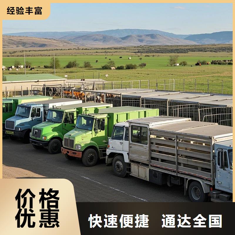 尉氏到顺平物流专线货运公司