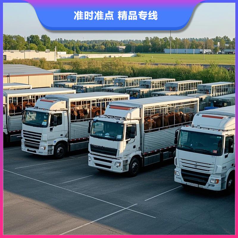 淮北到番禹物流专线货运公司