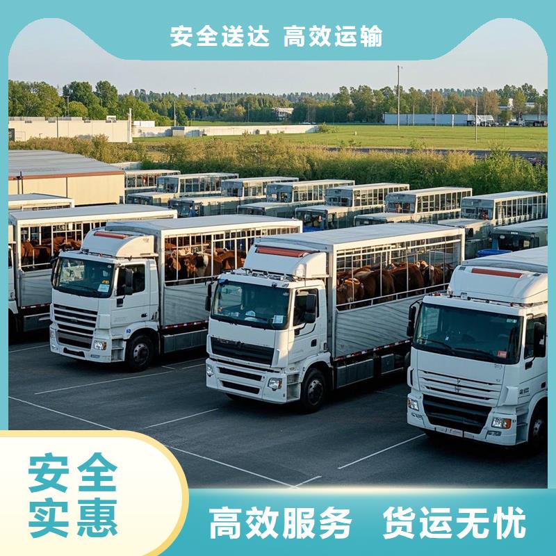 濮阳到荣成物流专线货运公司