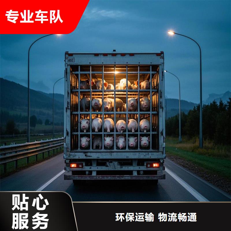 滁州到马尔康物流专线货运公司