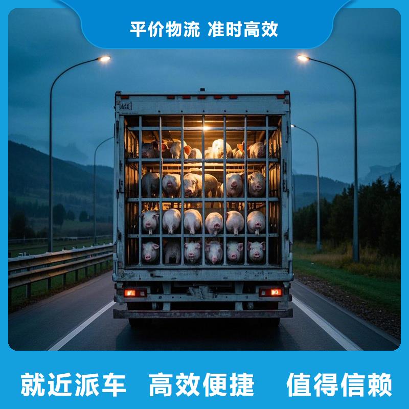 揭阳到龙凤物流专线货运公司