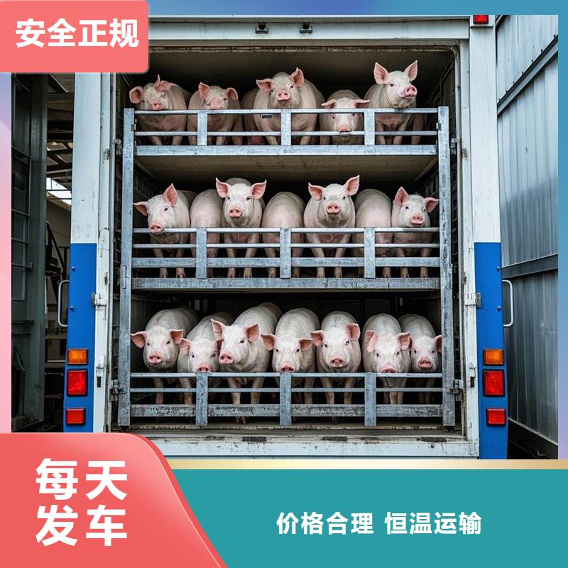 周口到孟津物流专线货运公司