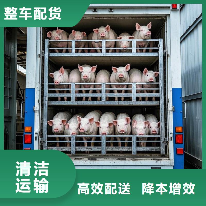 阜南到樟木头镇物流专线货运公司