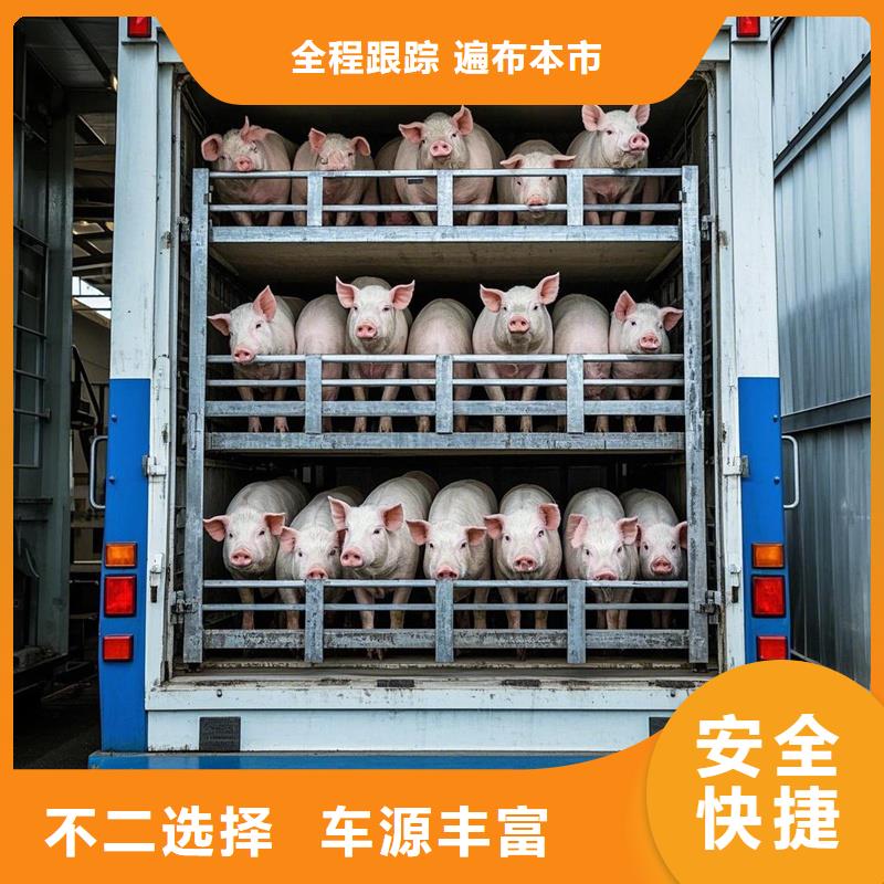 周口到路北物流专线货运公司