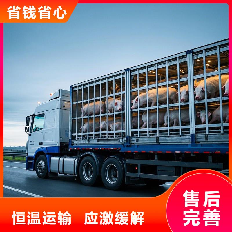 柳州到泊头物流专线货运公司