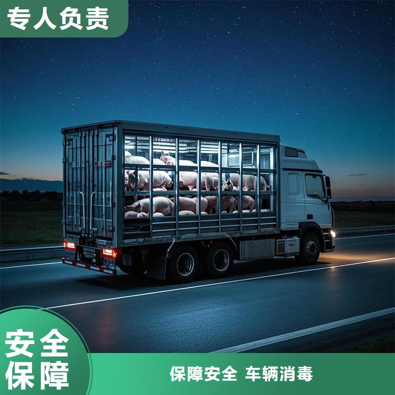 濮阳到黄南物流专线货运公司