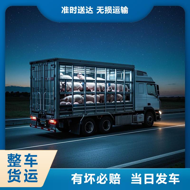 尉氏到抚远物流专线货运公司