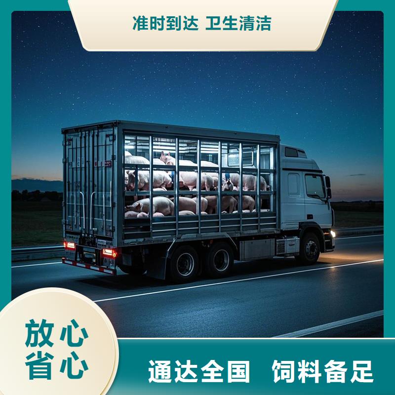 柳州到越西物流专线货运公司