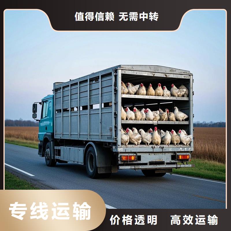 淮北到红塔物流专线货运公司