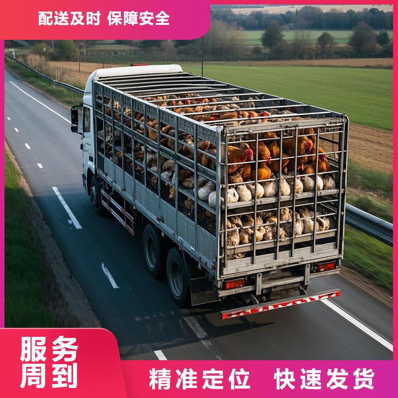 柳州到龙海物流专线货运公司