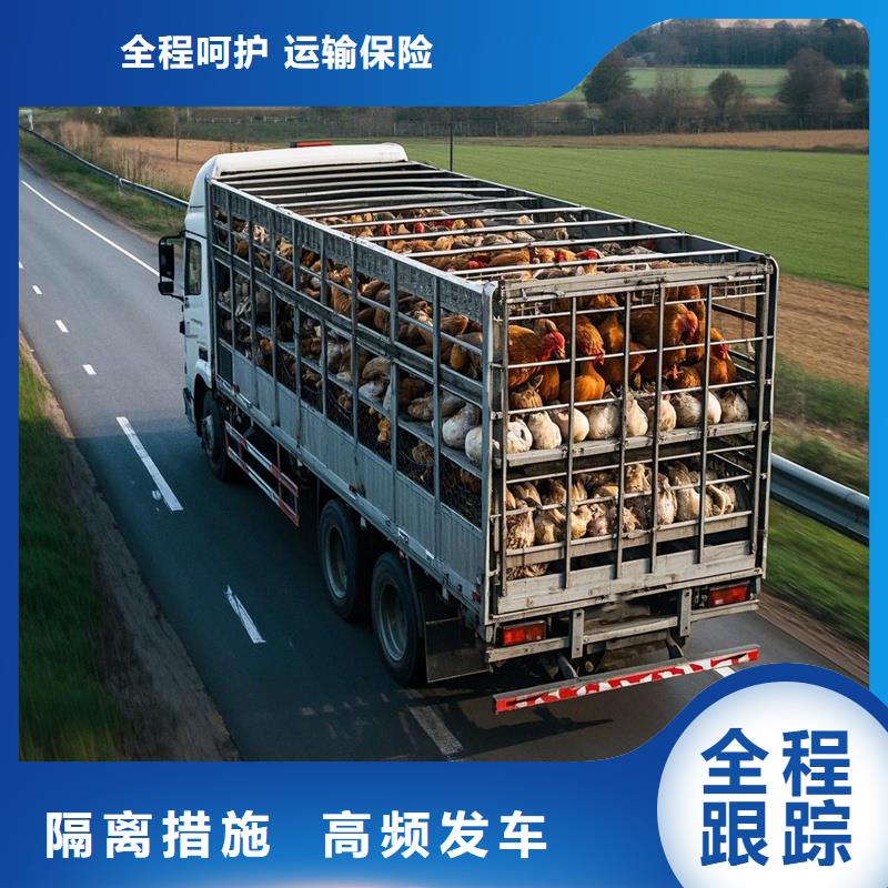 尉氏到浈江物流专线货运公司