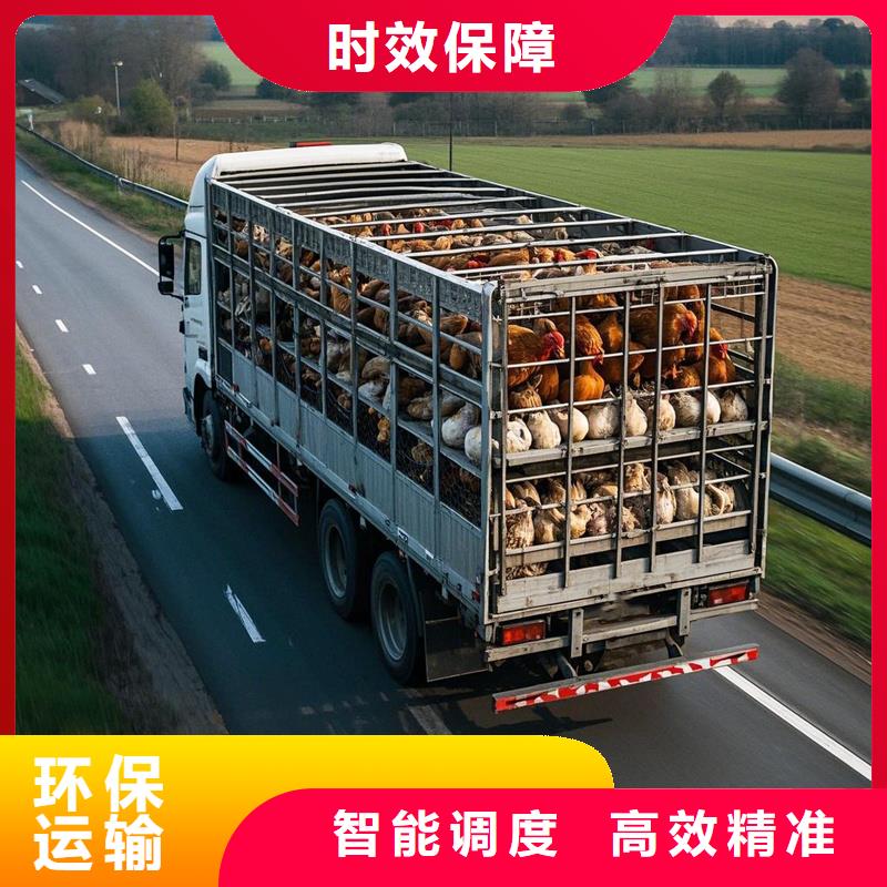 尉氏到岑溪物流专线货运公司