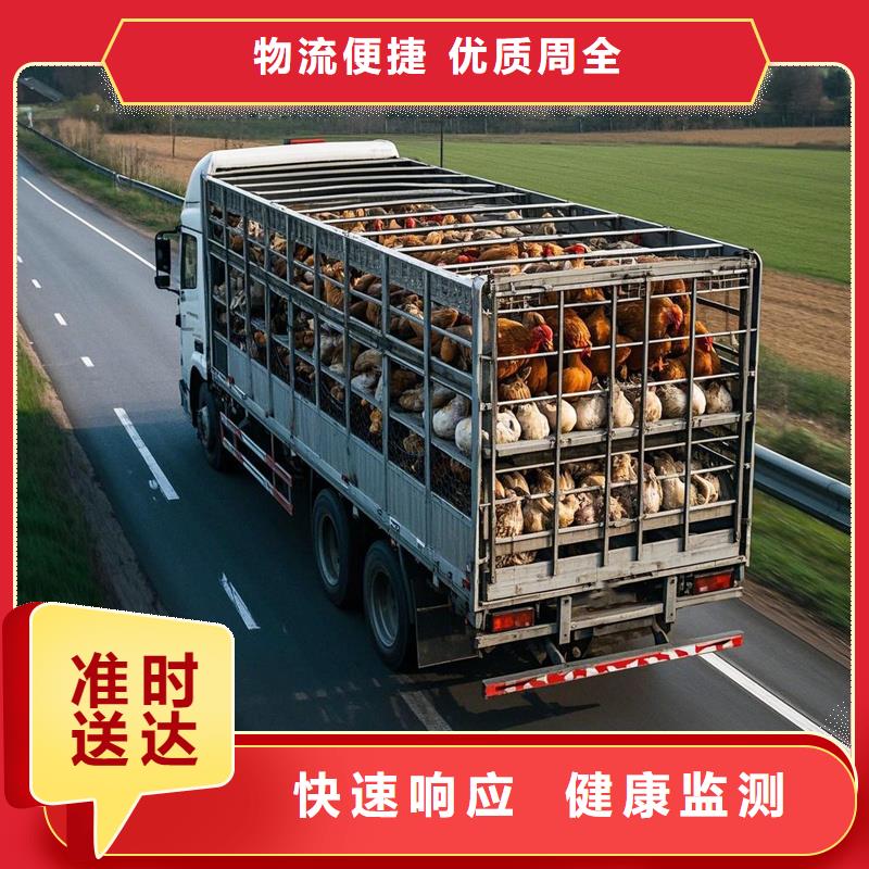 柳州到修武物流专线货运公司