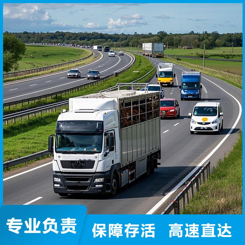 柳州到泊头物流专线货运公司