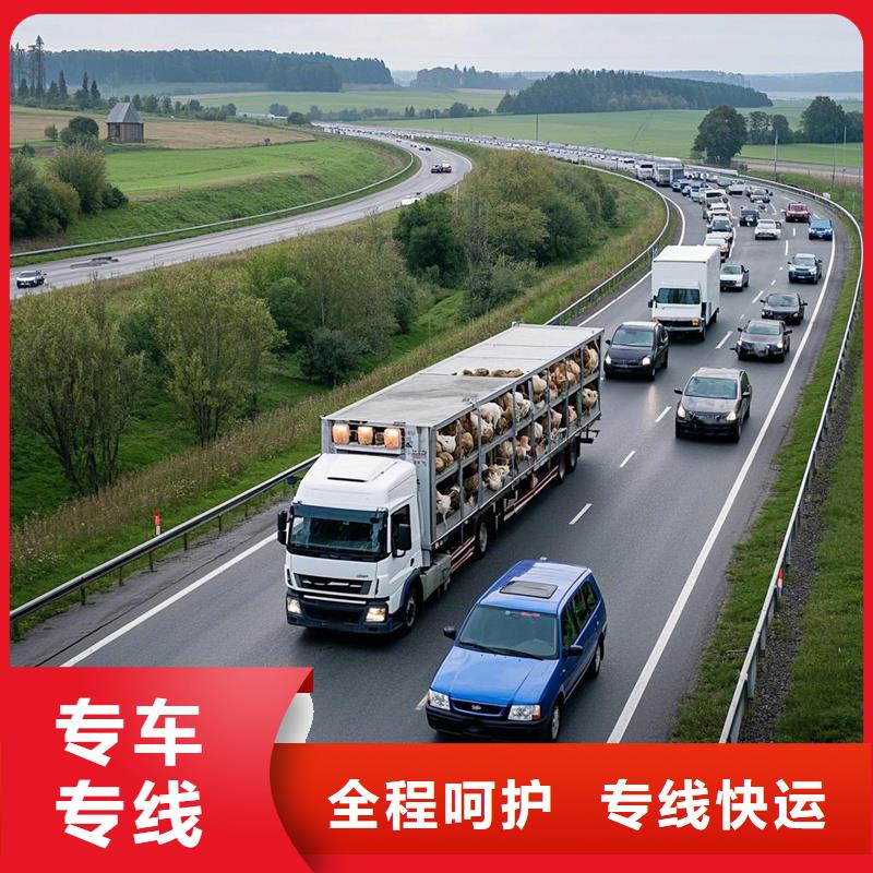 柳州到印台物流专线货运公司