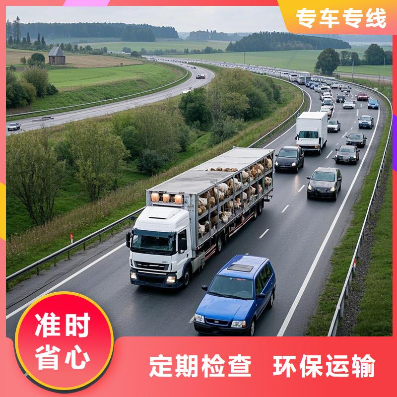 泽州到德清物流专线货运公司