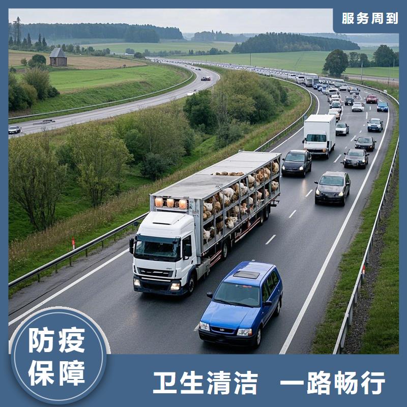 柳州到三水物流专线货运公司