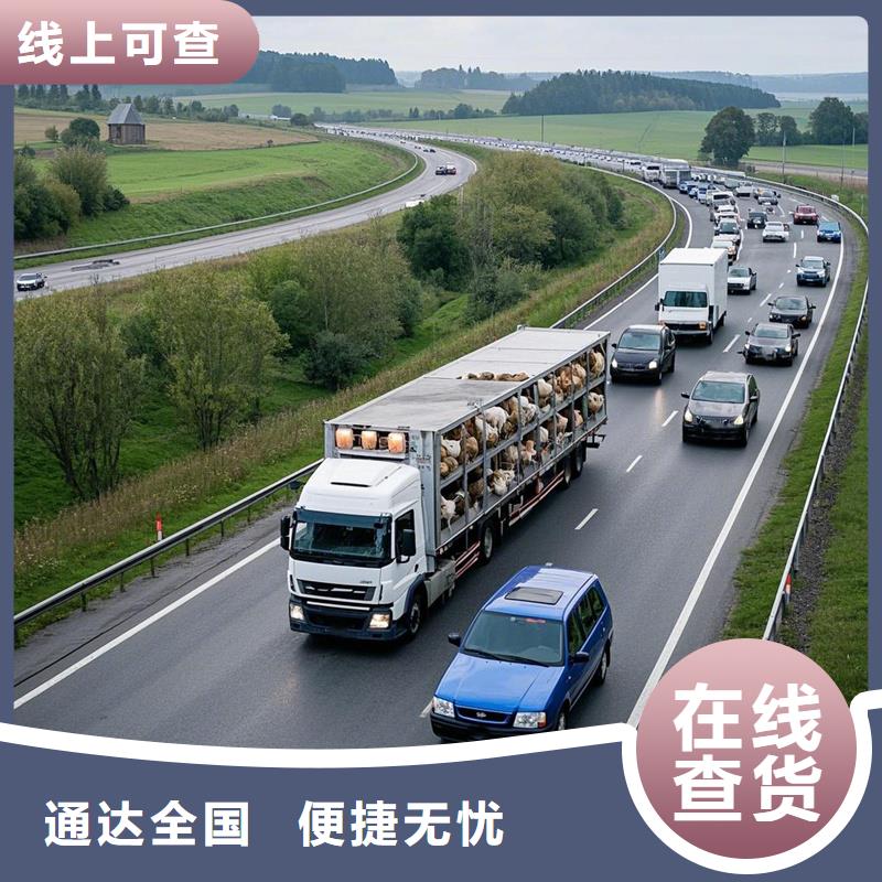 阜南到长丰物流专线货运公司