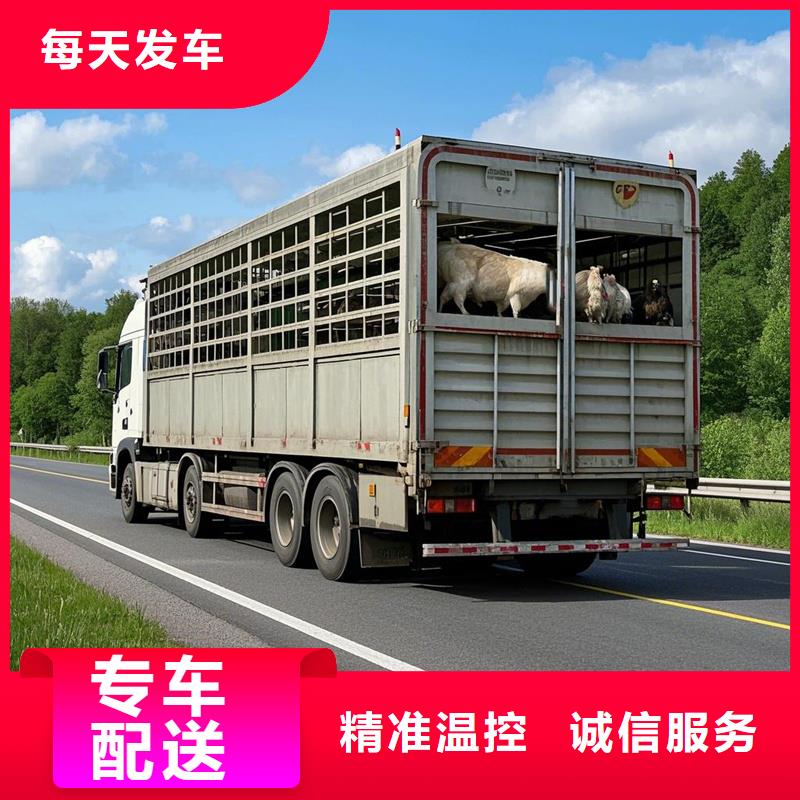 泽州到德清物流专线货运公司