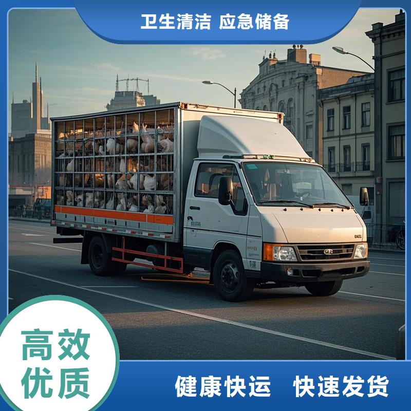 日照到姚安物流专线货运公司