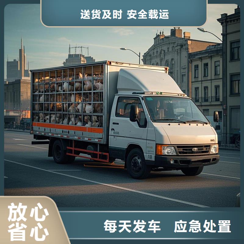 钦州到固镇物流专线货运公司