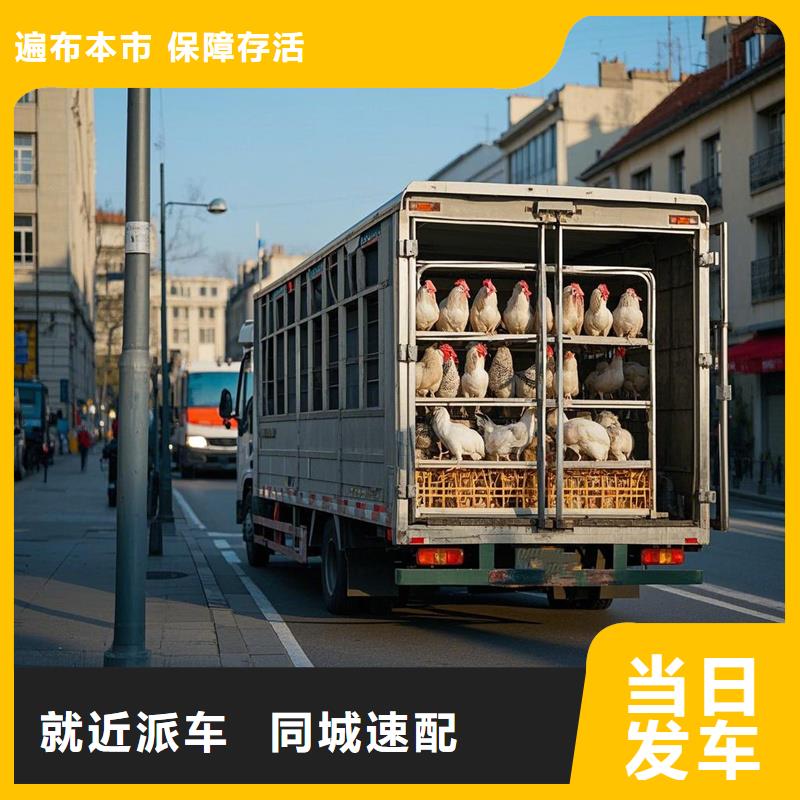 阜南到田阳物流专线货运公司