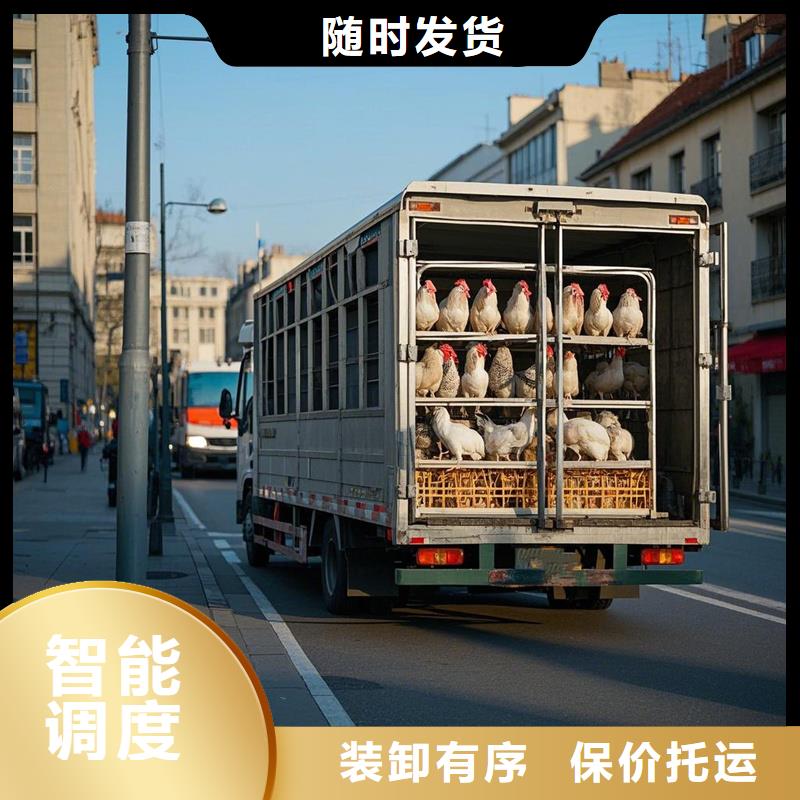 阜南到苏仙物流专线货运公司