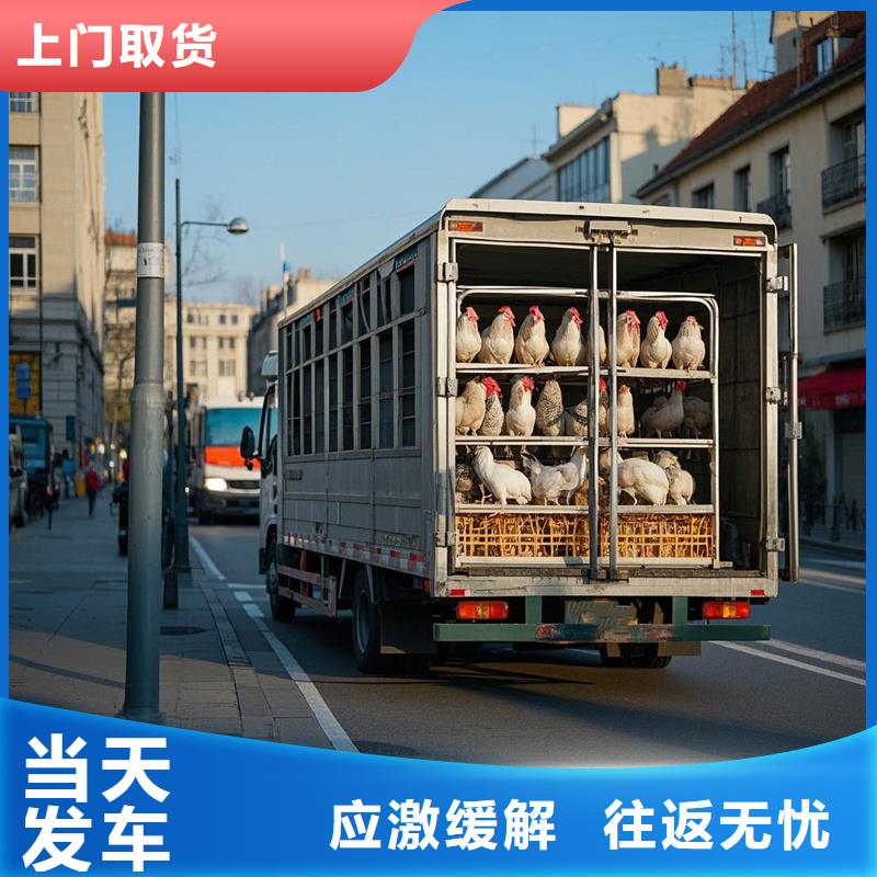 濮阳到蓝山物流专线货运公司