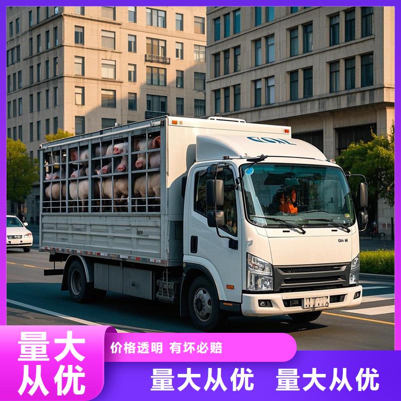 河源到海沧物流专线货运公司