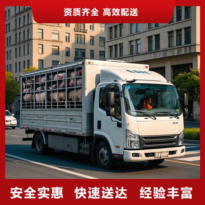 钦州到固镇物流专线货运公司