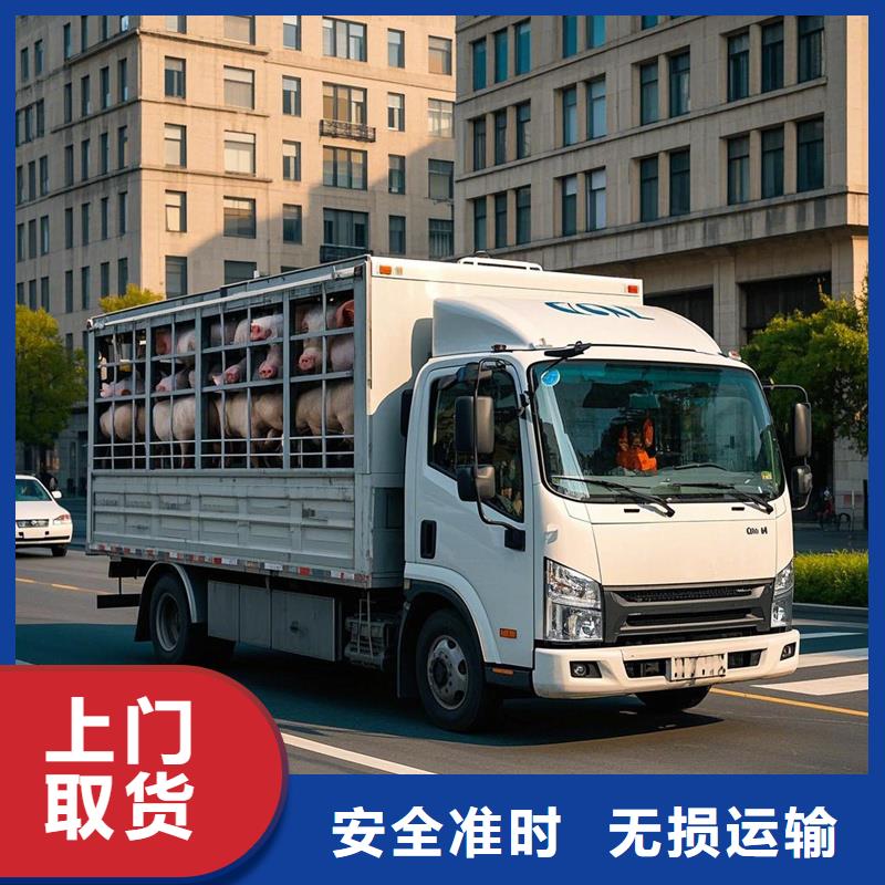 河源到万秀物流专线货运公司