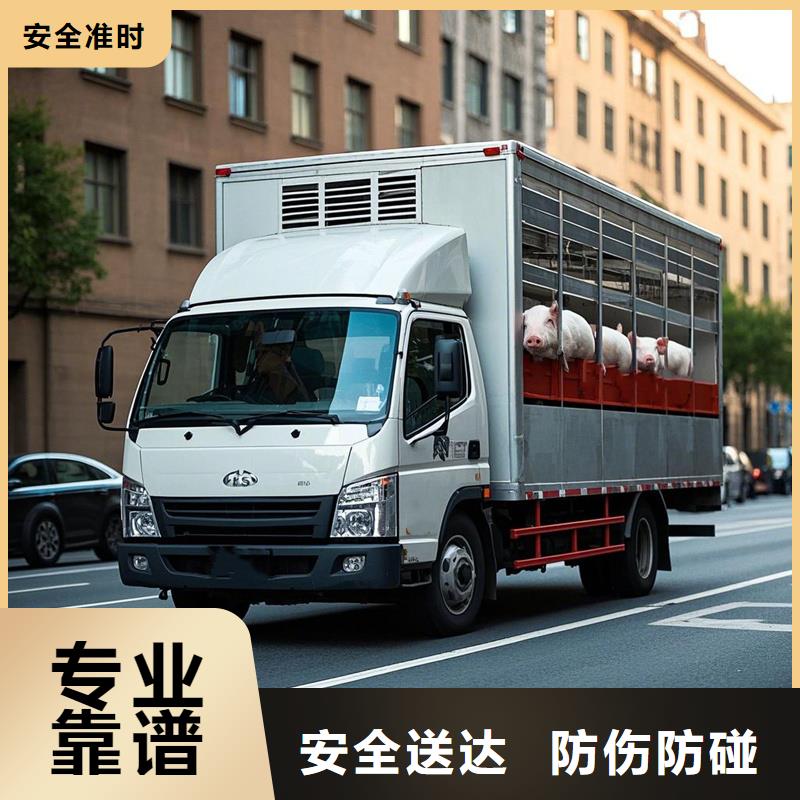 阜南到苏仙物流专线货运公司