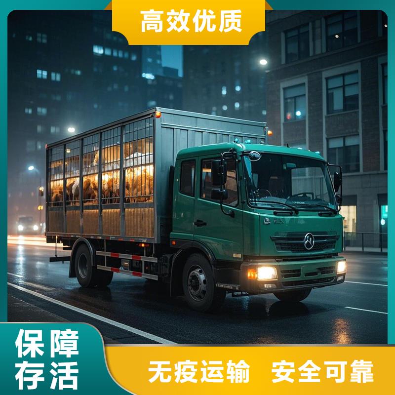 周口到路北物流专线货运公司