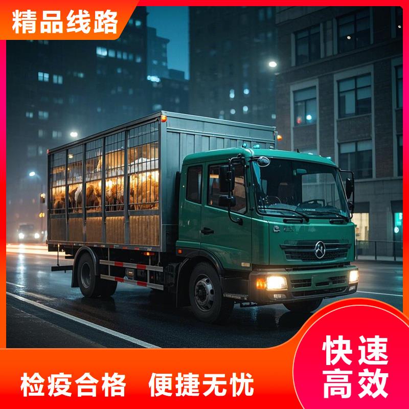 柳州到宿豫物流专线货运公司