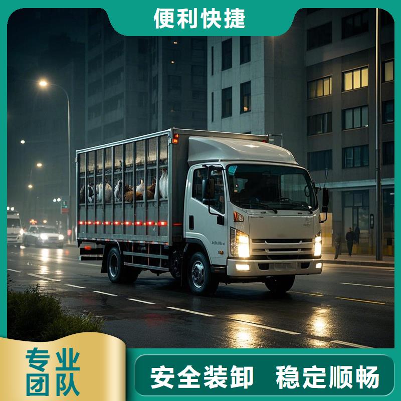 柳州到九龙物流专线货运公司