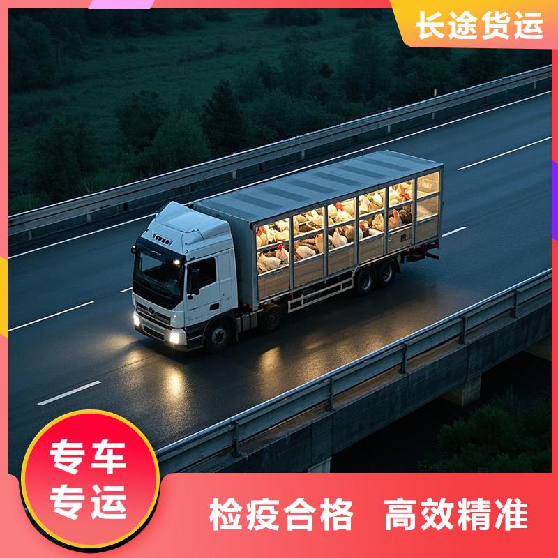 滁州到马尔康物流专线货运公司