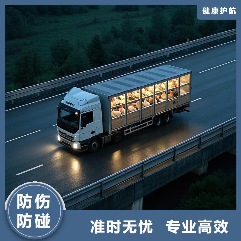 濮阳到确山物流专线货运公司