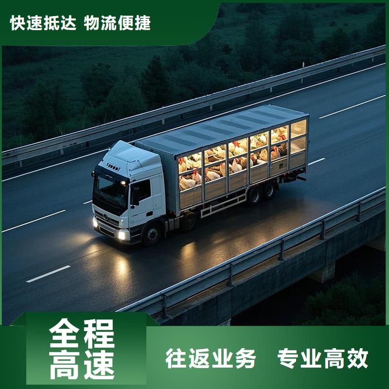 揭阳到龙凤物流专线货运公司