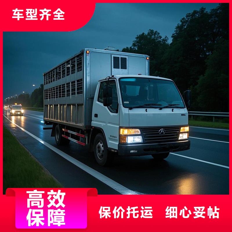 周口到孟津物流专线货运公司