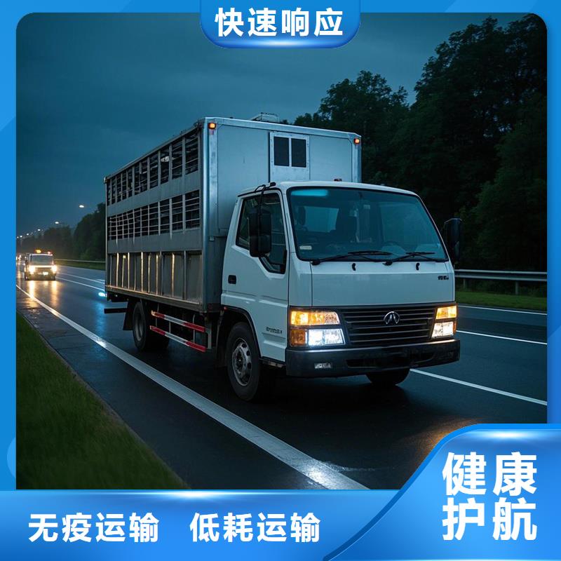 周口到喜德物流专线货运公司