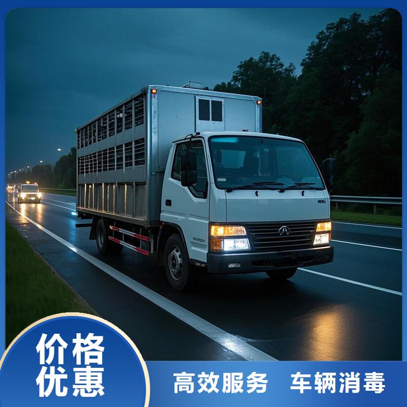 尉氏到浈江物流专线货运公司