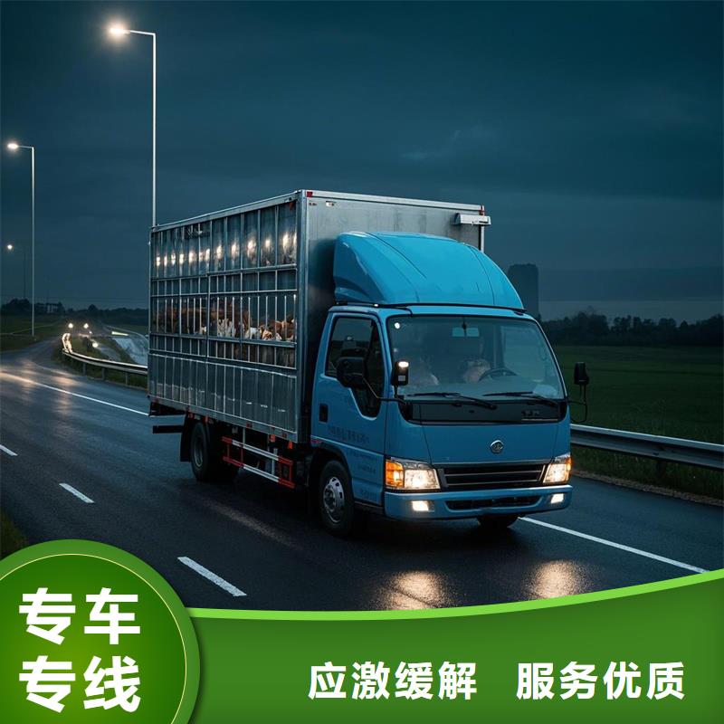 濮阳到贡嘎物流专线货运公司